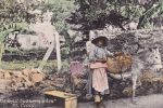 Kvinde paa vej til sukkermarken p   St Croix