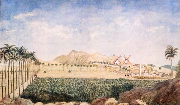 St Croix Plantage ved Kongevejen Illustration
