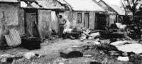 Orkanen 1928 St Croix efter orkanen 13 september 1928 DVS 0078